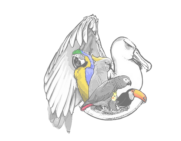 logo0.3.png