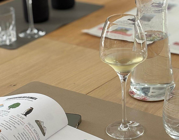 Formation technique des ambassadeurs Vins et Conversations pour garantir un conseil de qualité.