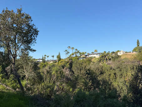 Allied Gardens Recap, March 2026