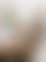 The Essential Programs for Organizing Your Interior Design Business