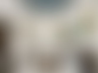 Transform Your Home with an Interior Designer: Your Guide to a Stylish Living Space