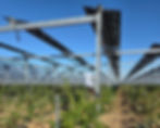Vineyard under the Agritracker system