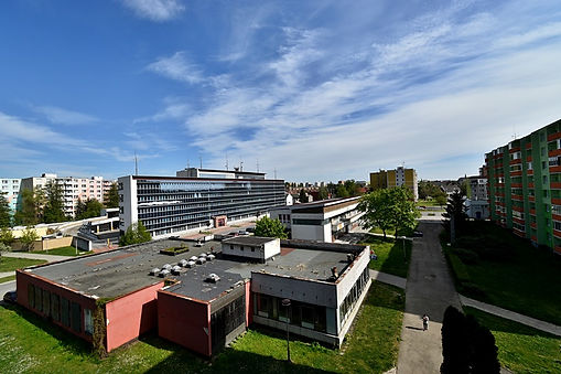 15.JPG