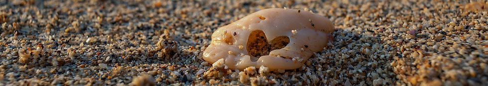stone in sandy beach