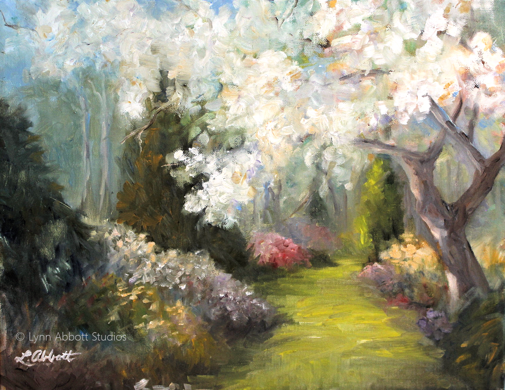 Blossoms of Snow, Lynn Abbott