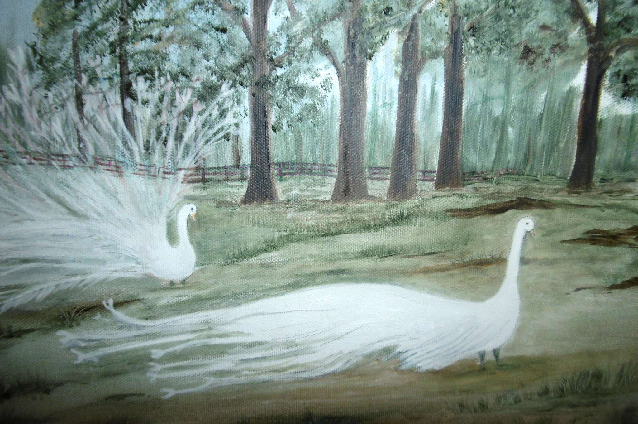 Sarah Flinn, White Peacocks