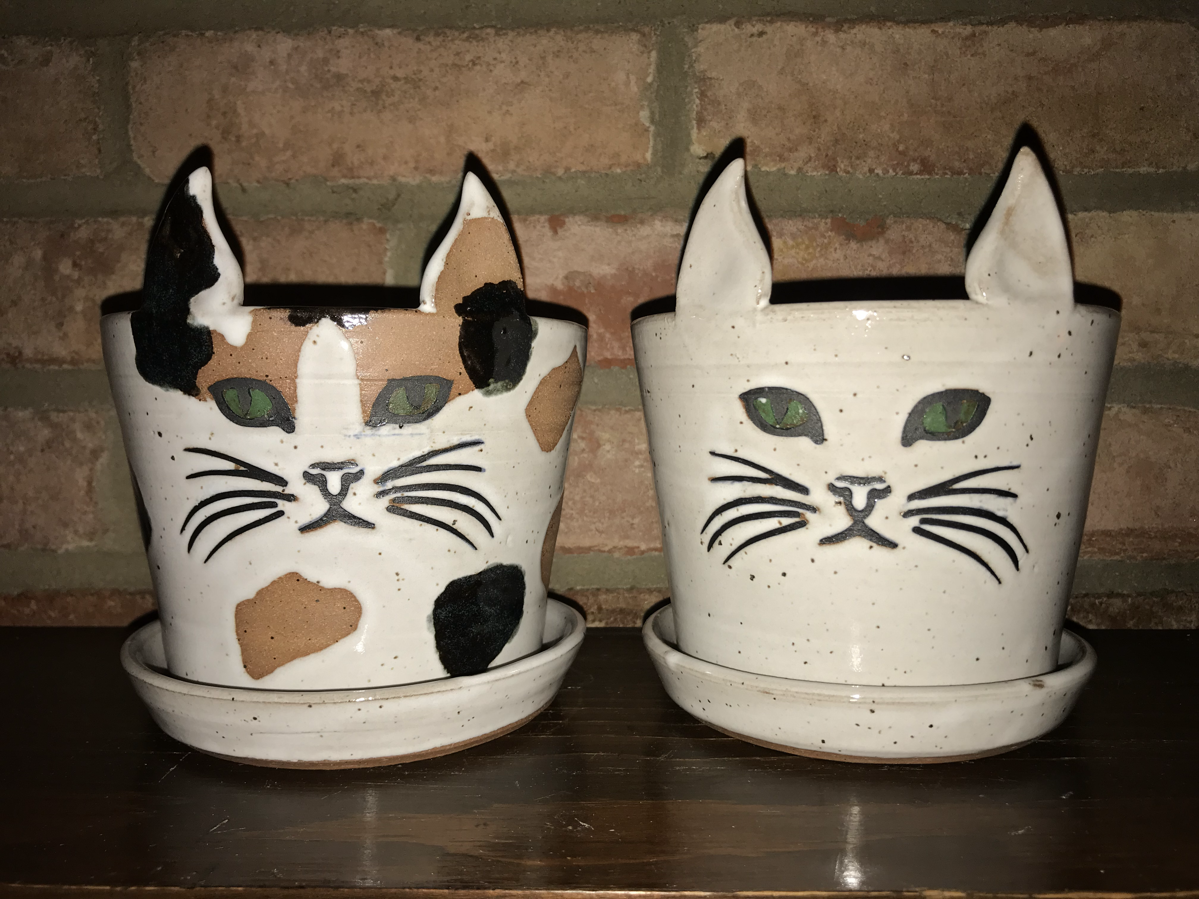 Cat planters