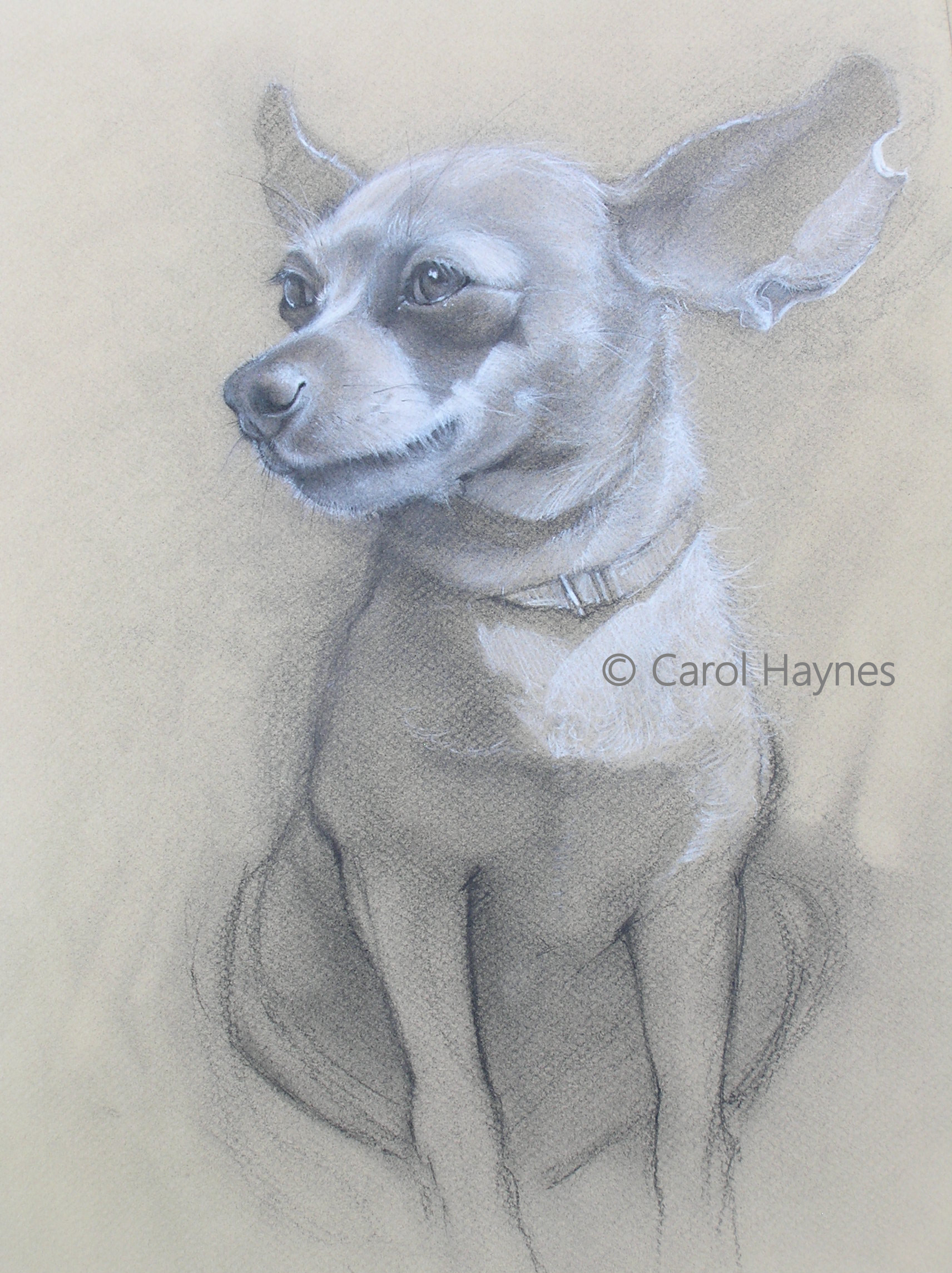 Carol Haynes, Who bit Riley's Ear?