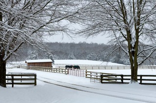 "Snow at Rose Mount Farm," by Buddy Lauer.