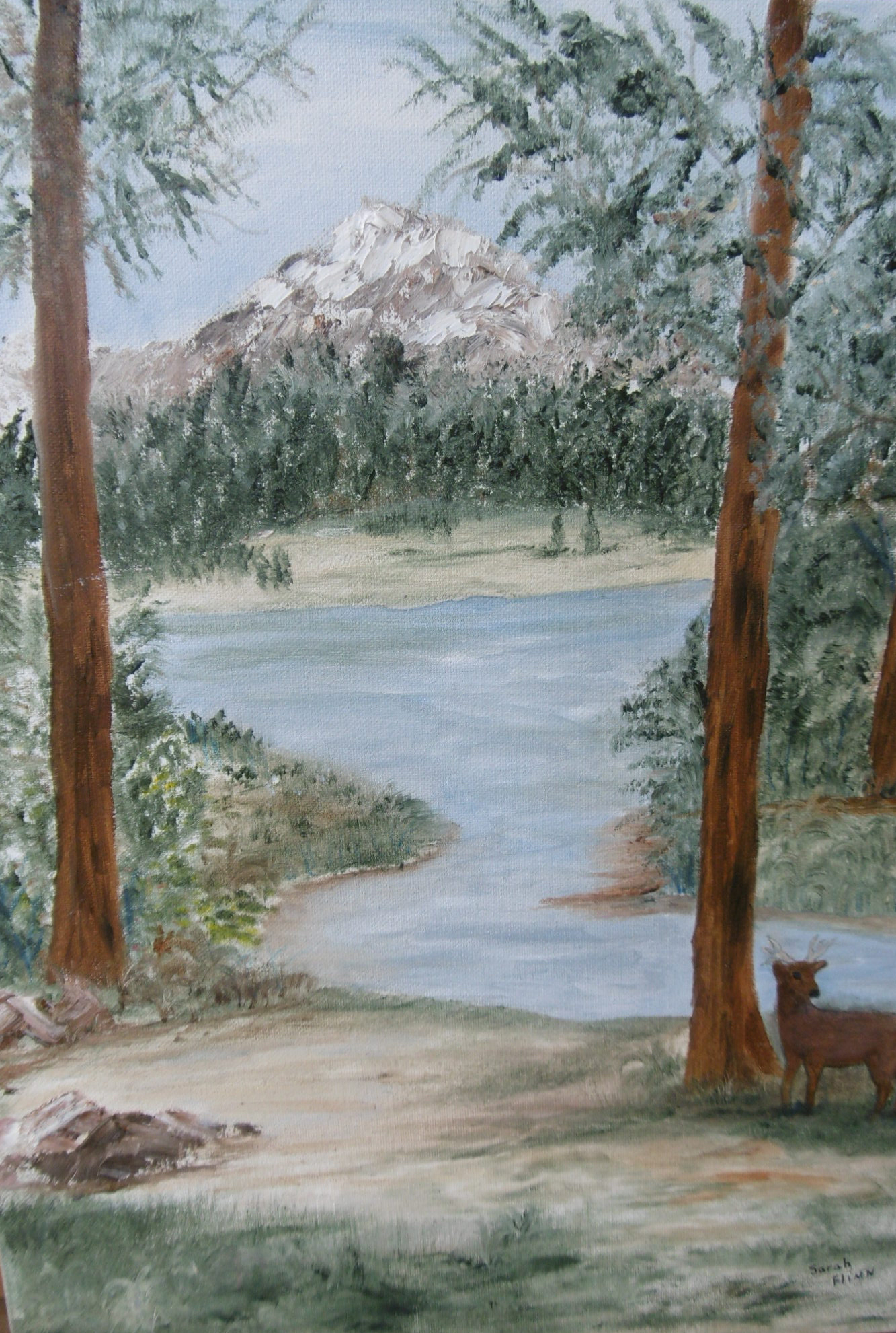 Mt Jefferson, Sarah Flinn