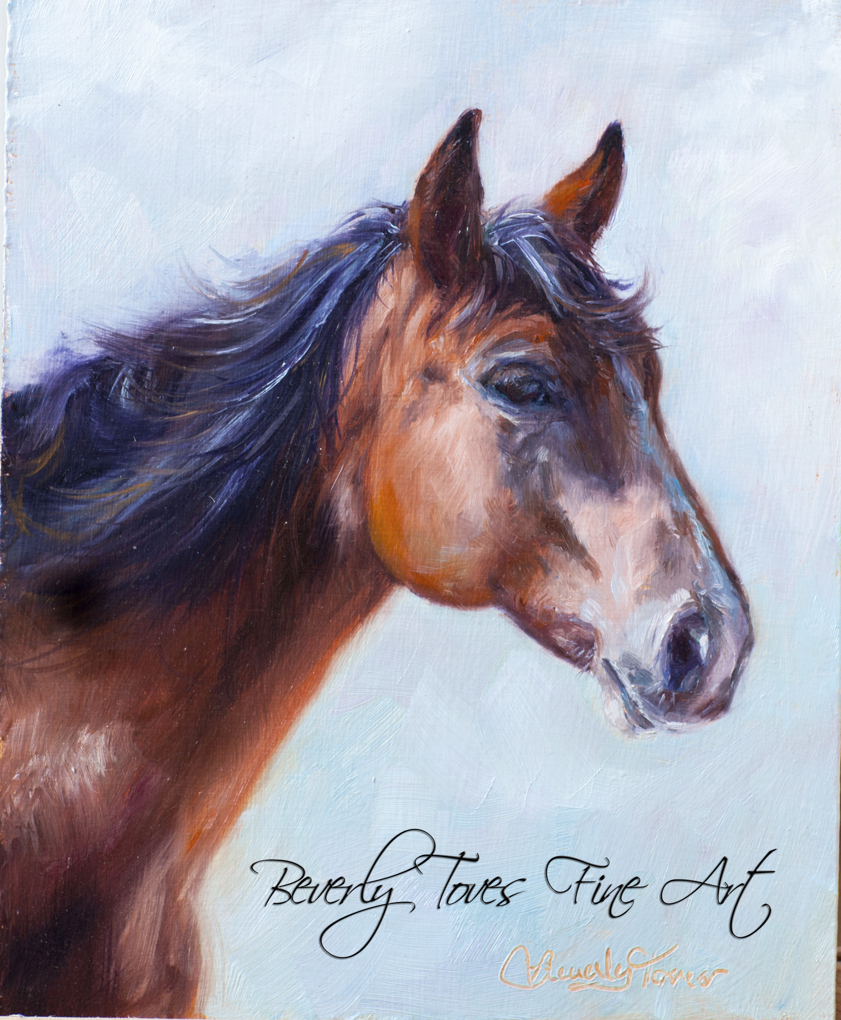 "Skywarrior," by Beverly Toves.