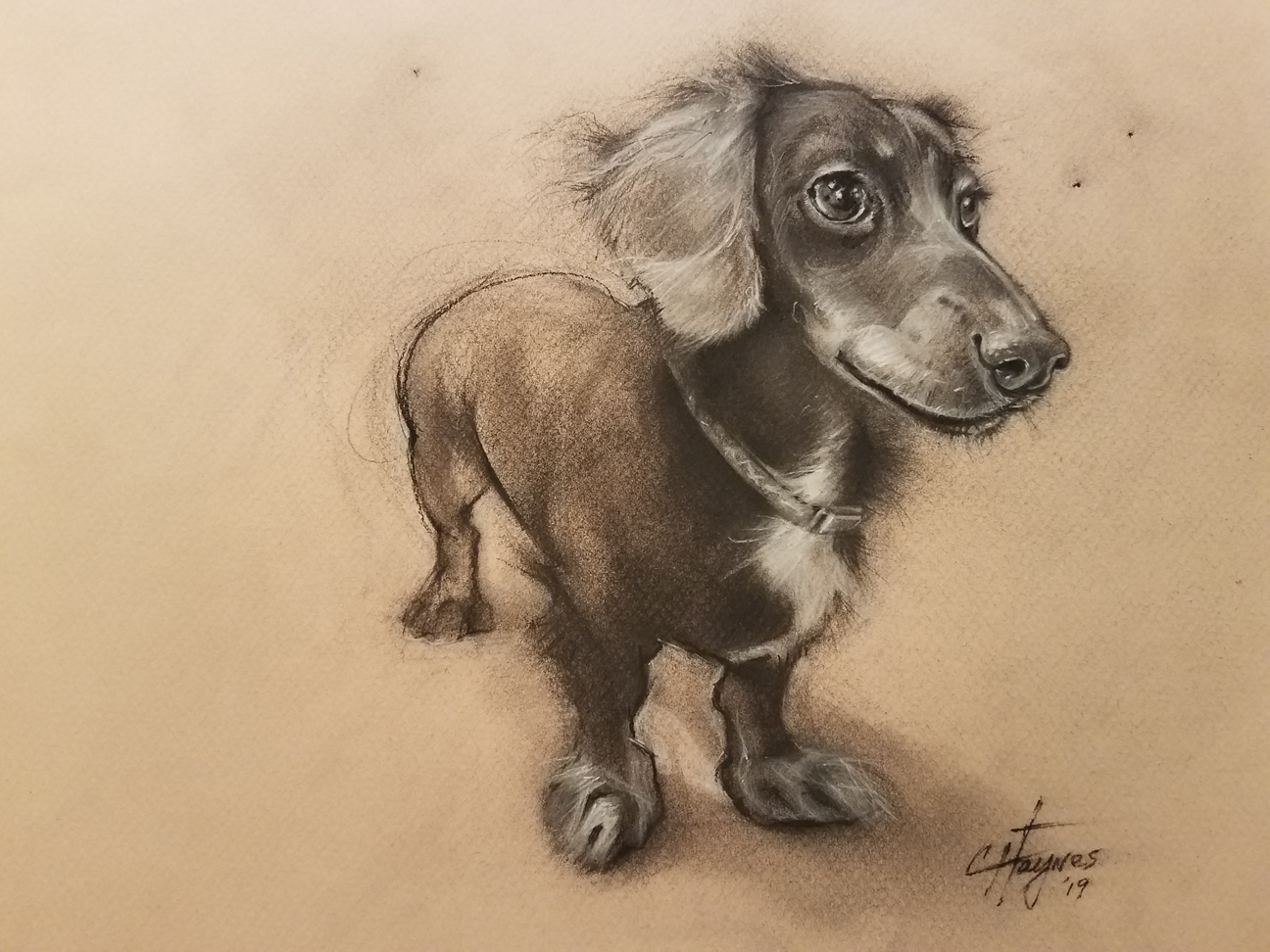 "Hunter," Carol Haynes