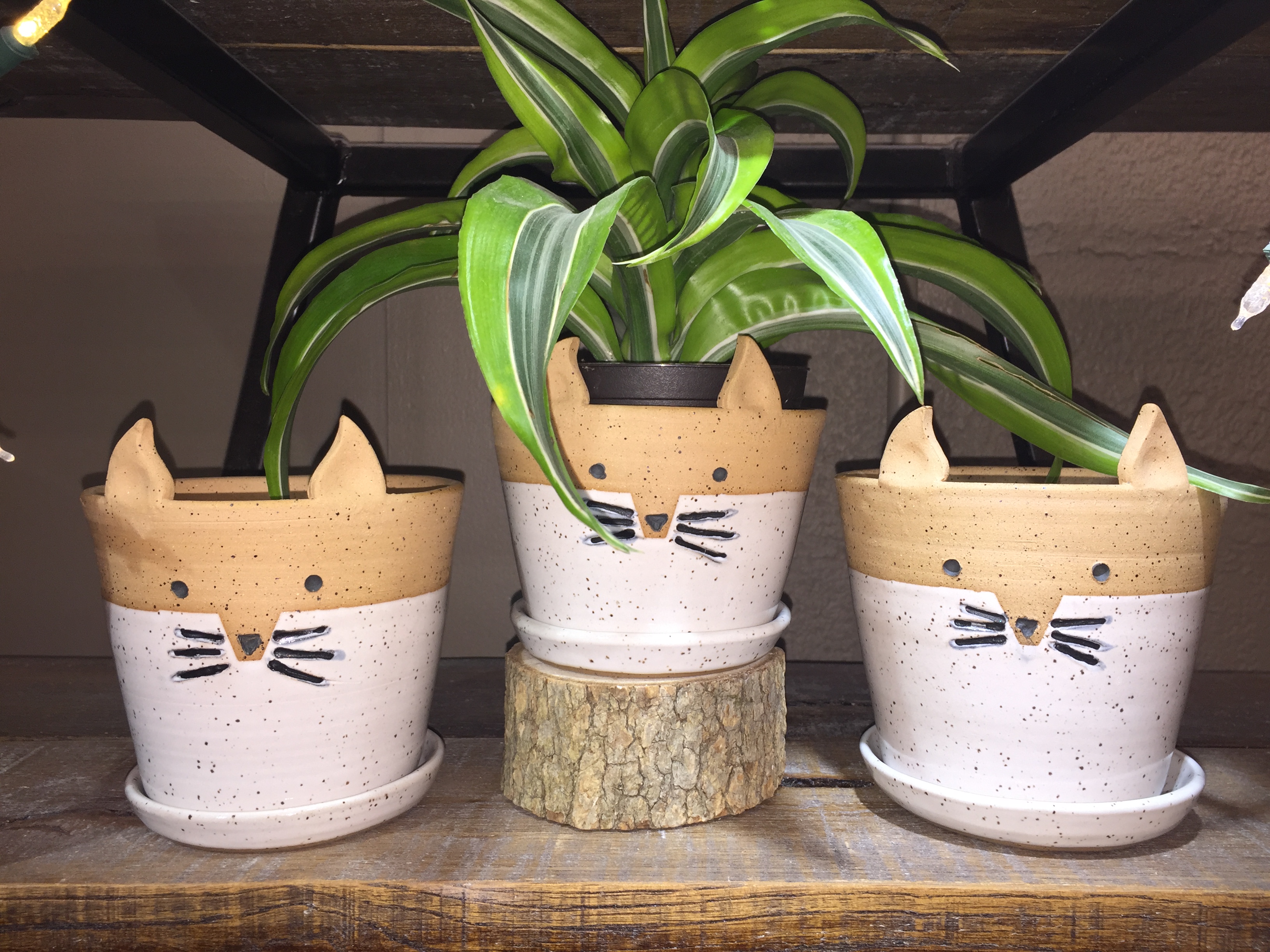 Fox planters $30