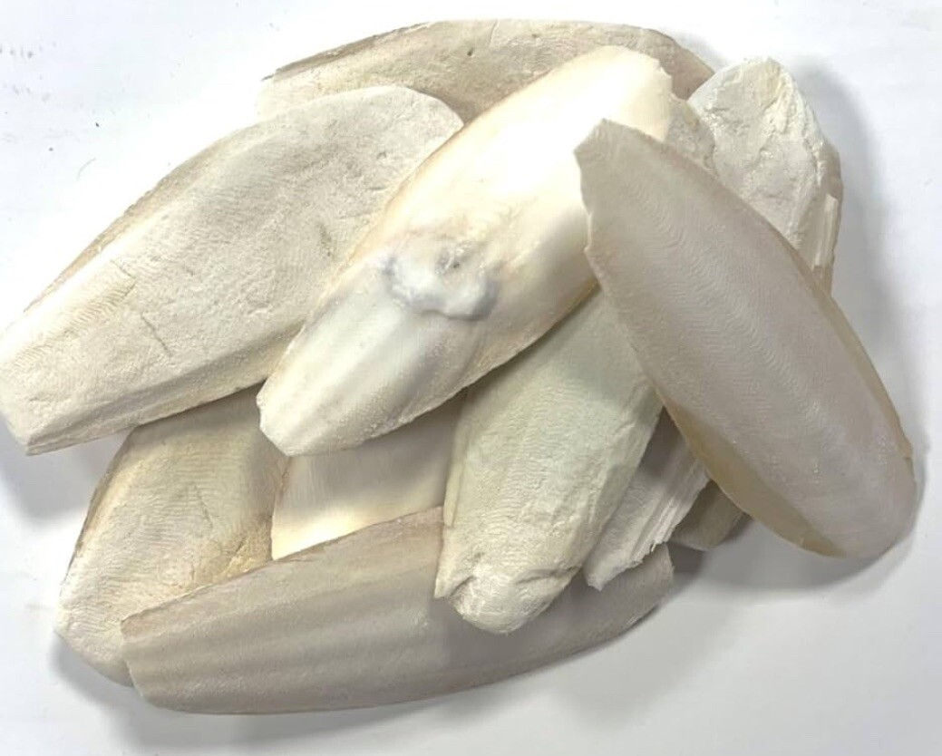 50g of cuttlefish bone 