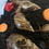 Thumbnail: Giant African Land Snails