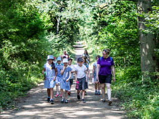 Call For Local Primary School Teachers! Free Event To Explore Outdoor Learning