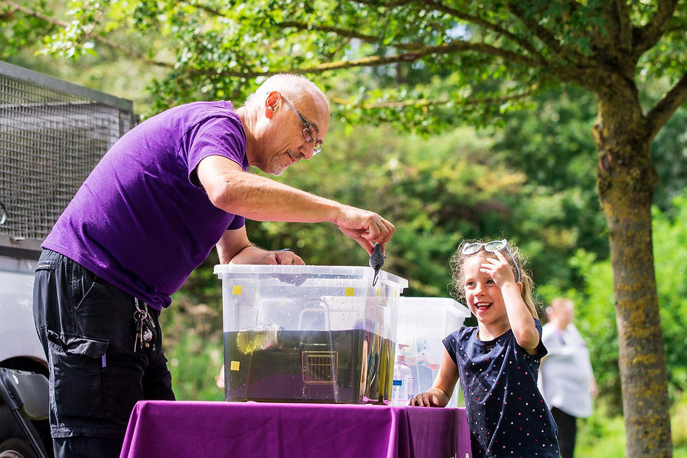 Explore, play and picnic in Milton Keynes’ parks this summer!