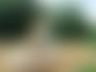 City Council invests in improving local play parks