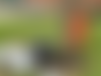 Calling local people to join local litter picks for the Great British Spring Clean