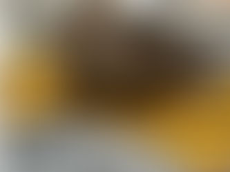 Male cat helps MK RSPCA, save 5 kittens lives, after mum cat killed on the road.