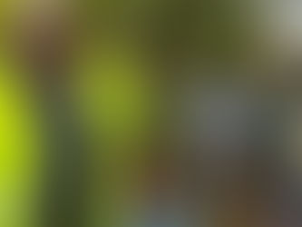 Community litter picks underway in Newport Pagnell