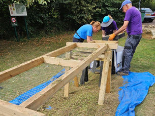 Wildflower seeds, for wildlife.