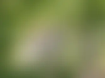 MK gears up for the Festival of Cycling