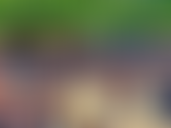 Popular free Midsummer Festival returns this summer