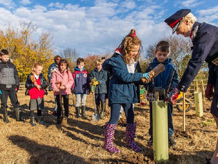 Five-year tree planting project completed!