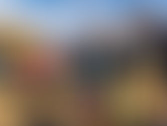 Five-year tree planting project completed!