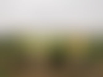 OnPath Energy relaunches Milton Keynes Wind Farm community fund