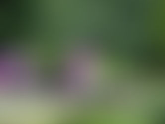 Get closer to the natural world at Love Nature Day!