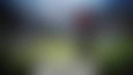 The Curious Incident Of The Dog In The Night-Time