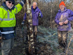 New bug homes arrive in city park