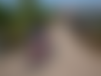 Tell us about your neighbourhood, asks city council