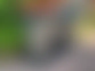 Labour protects weekly bin collections in Milton Keynes