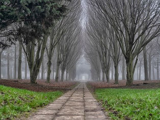 YOUR GUIDE TO MK’S BEST BOXING DAY WALKS