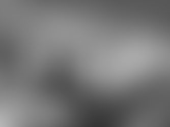 Heartbreak at Woburn Safari Park as Lionesses Abi and Tullulah Pass Away