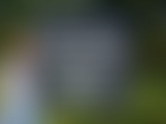 Lib Dems welcome Government plans to give 16-year-olds the vote