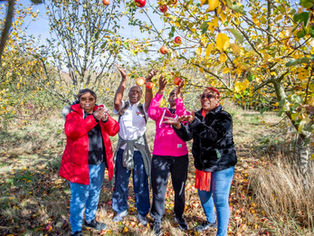 Amazing Autumn Activities in MK’s parks