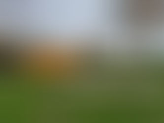 Willen Lake’s free Hallowe’en Trail returns for October Half Term