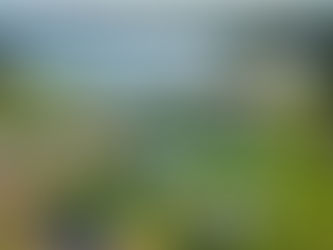 Popular inflatable obstacle course Tuff Nutterz returns to Willen Lake this summer