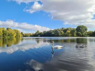 Countdown to Emberton Country Park’s 60th birthday celebrations