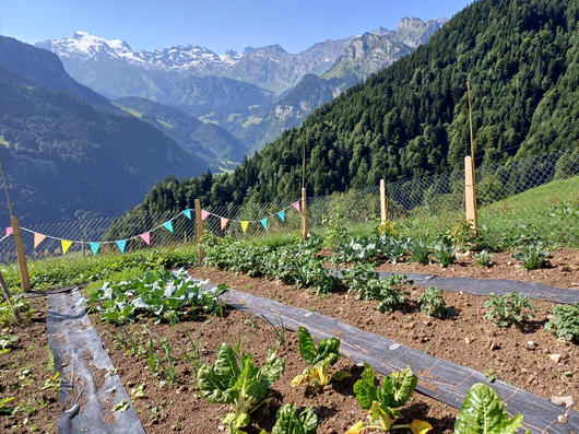 Impressionen Bergbetrieb Bielen