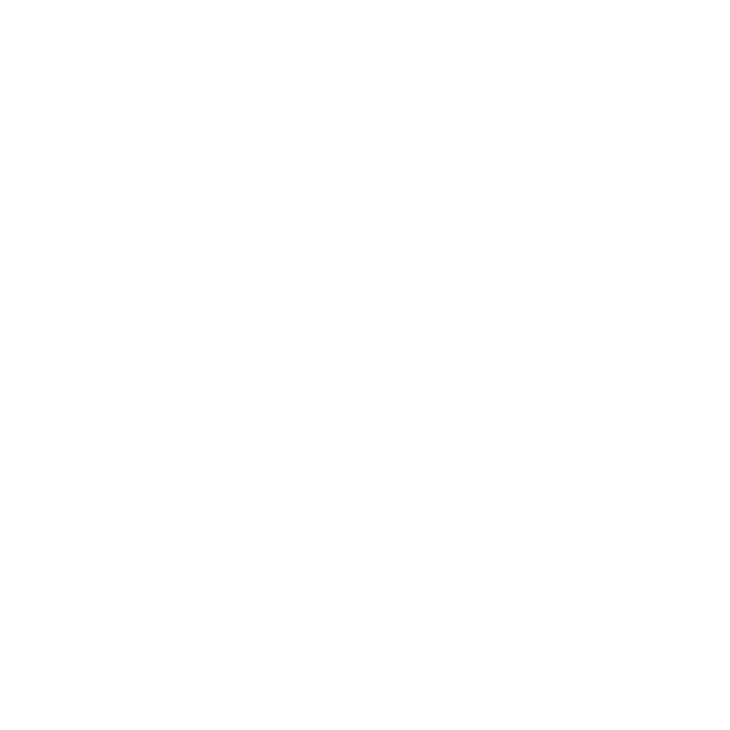 Design sans titre (20).png