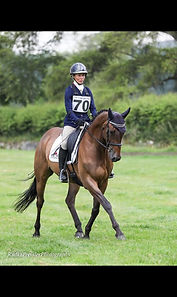 Stellor Quick Change.jpg
