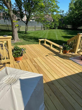 backyard.jpg