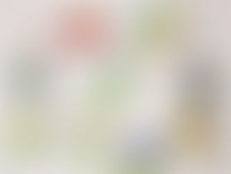 Parrots and Barbets and Cuckoos - Oh My!