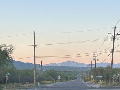 Birding Mount Lemmon
