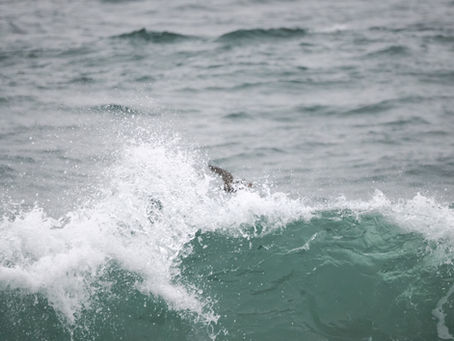 A cold dark snowy Rhode Island winter...